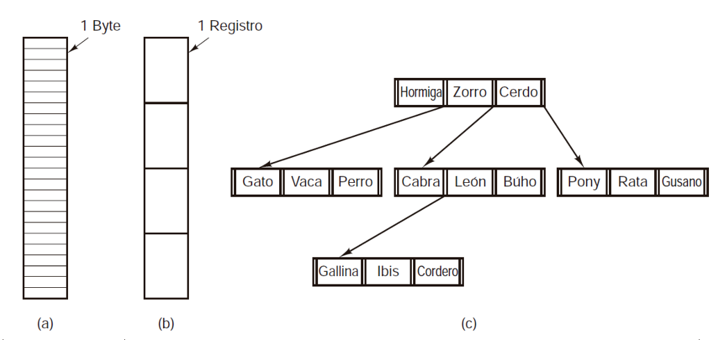 Figura 2